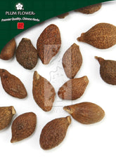 胖大海,未硫化胖大海种子